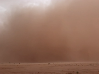 A person running from a surface dust storm in M´Hamid, Morocco (September 2019)