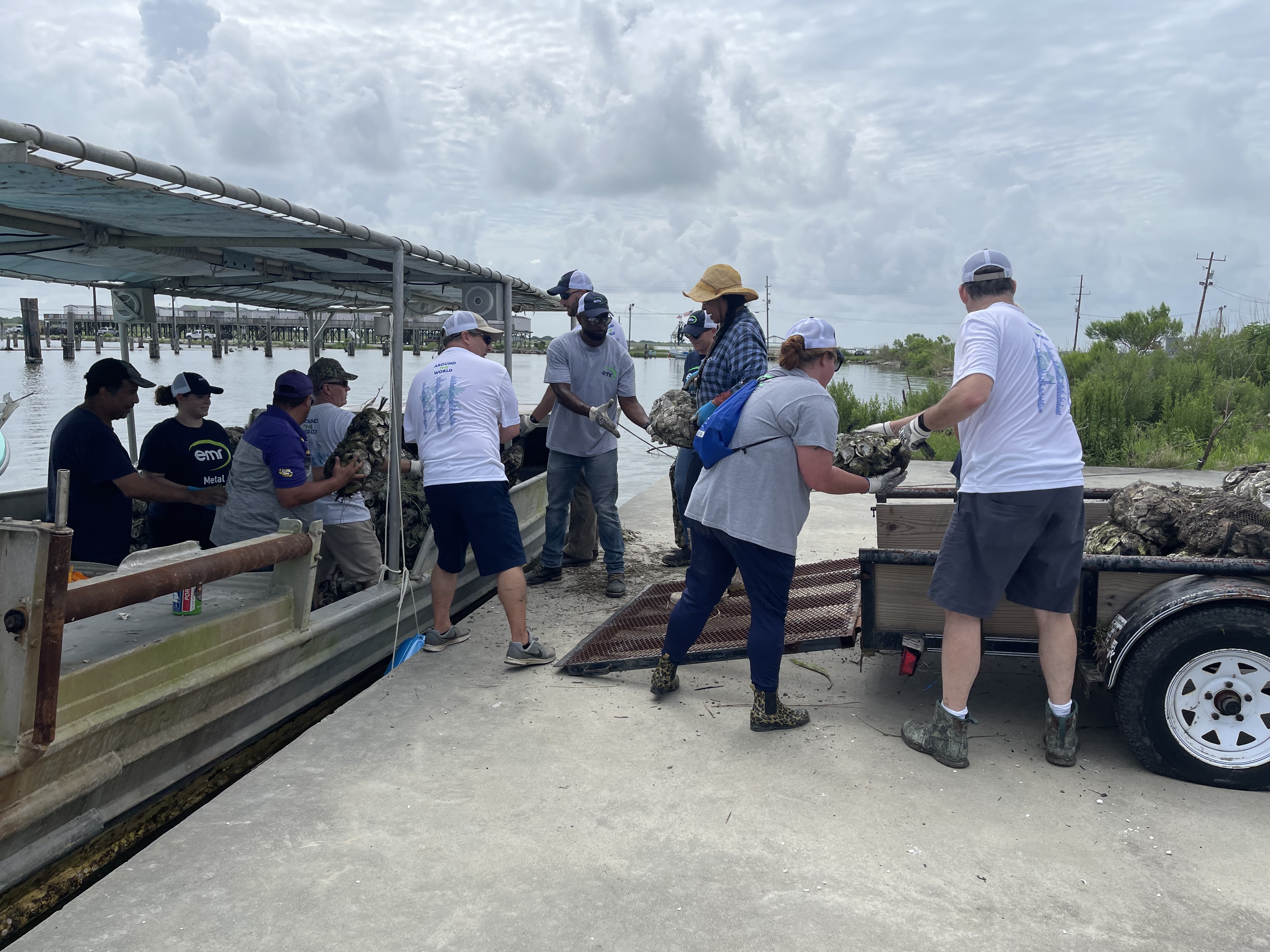 Building oyster reef