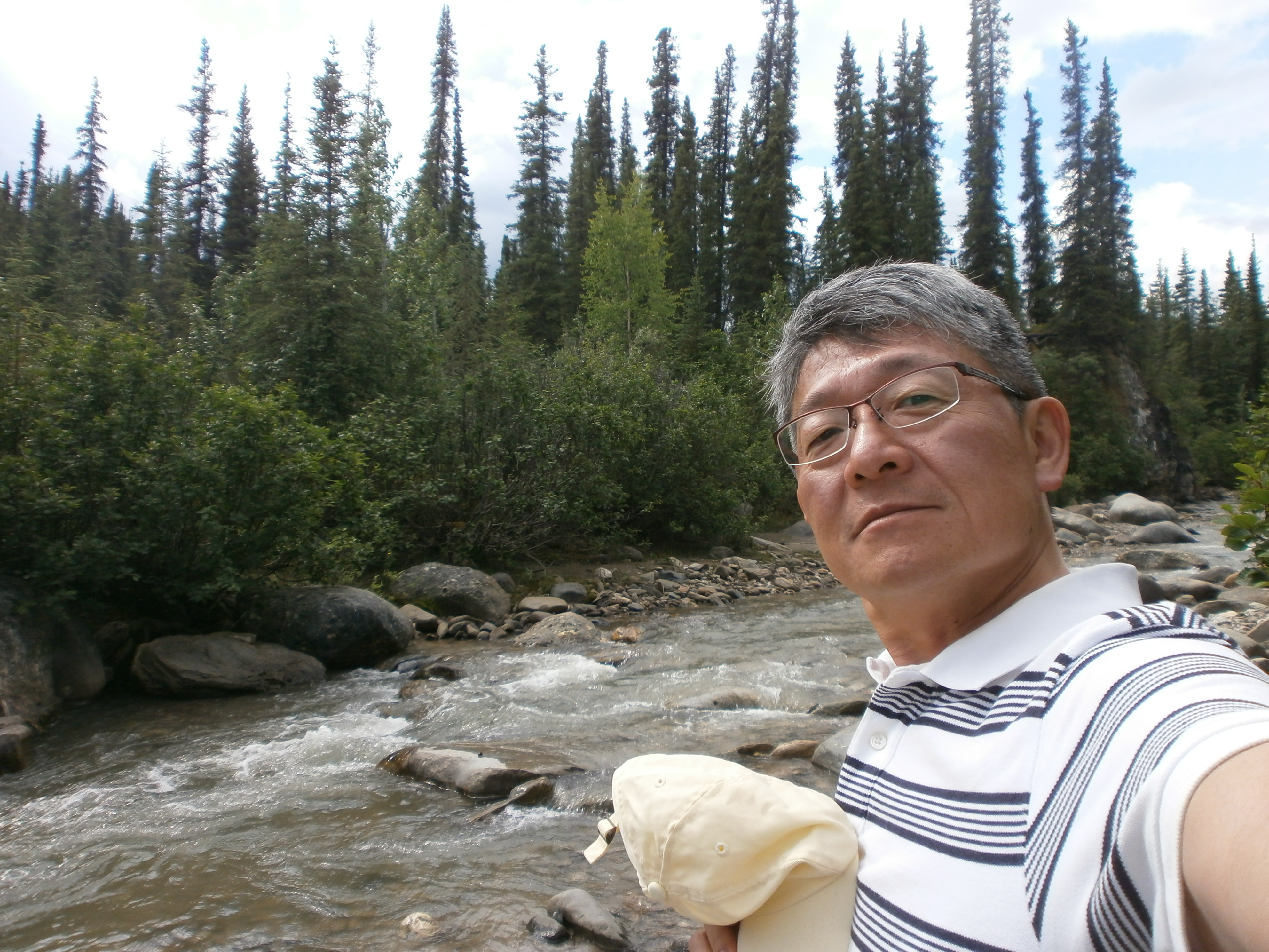 Kuze in Alaskan forest