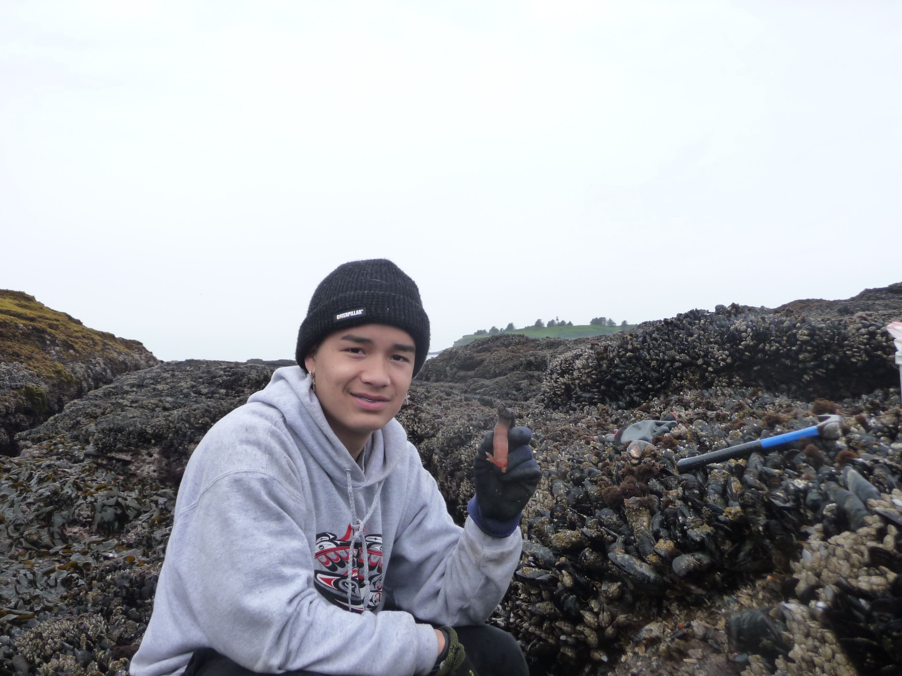 Janine Ledford's son holding up a gooseneck barnacle, while squatting on the rocky coastline, on a cloudy day. 