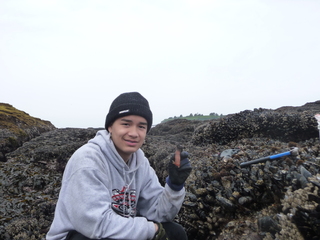 How is climate change impacting shellfish in the ocean?