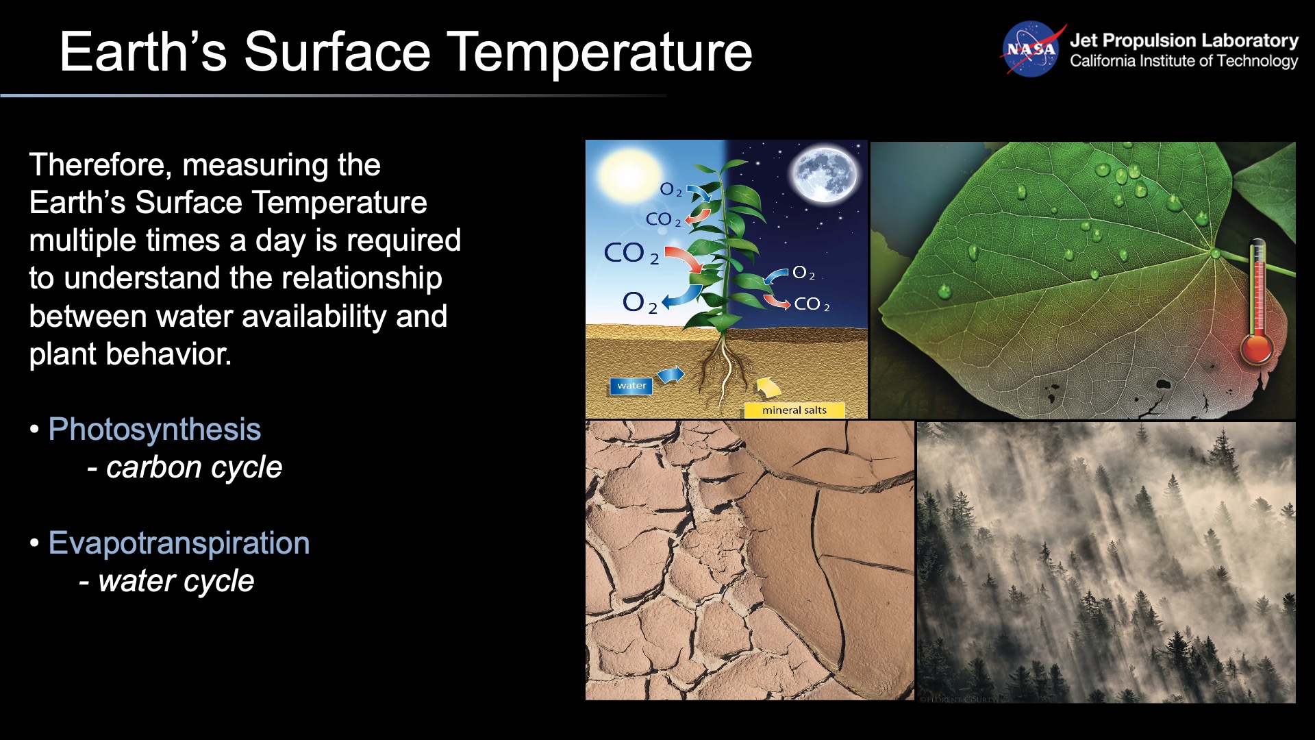 temperature of earth surface